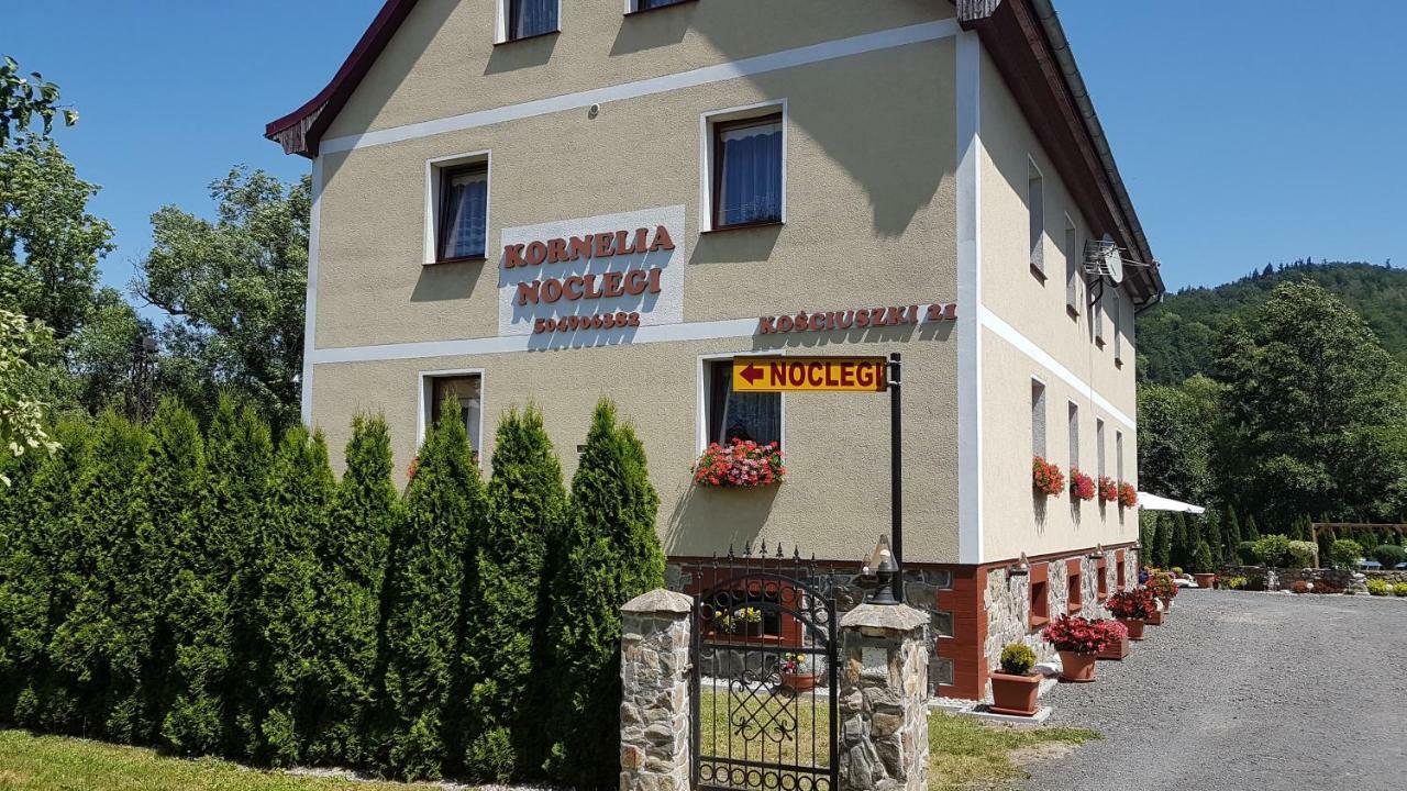 Kornelia Pokoje Goscinne Stronie Slaskie Bagian luar foto